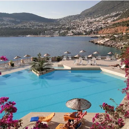 度假居 Marvelous Seaview *