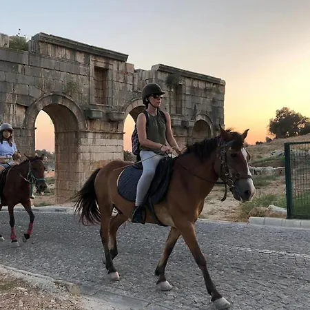 度假居 Marvelous Seaview 卡尔坎