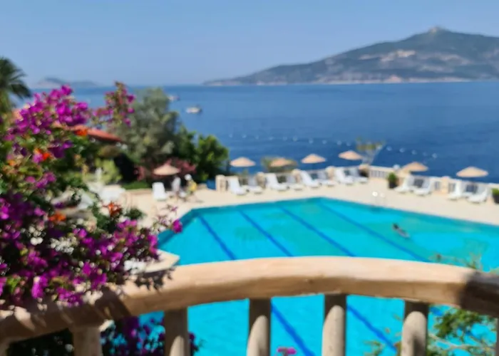 Marvelous Seaview *