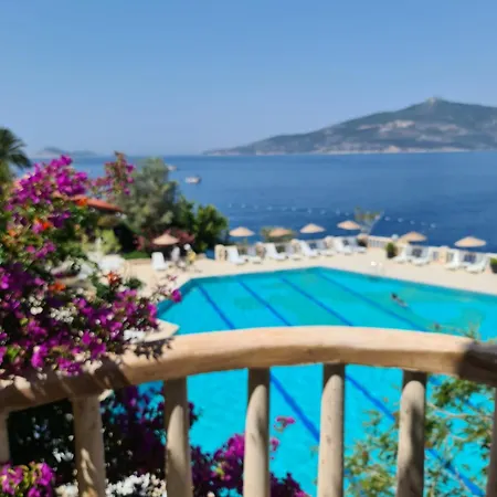 Marvelous Seaview *