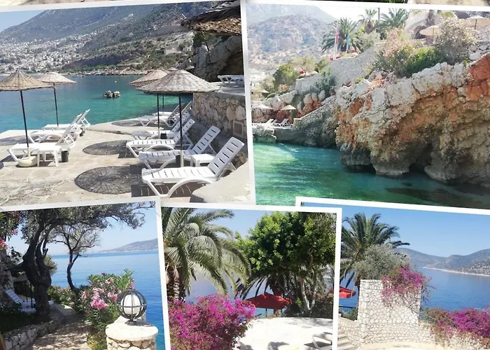 Hébergement de vacances Marvelous Seaview